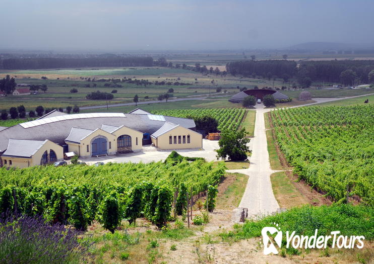 Tokaj Tokaj