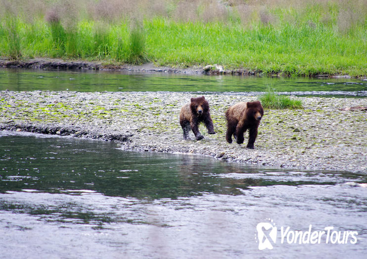 Tongass National Forest