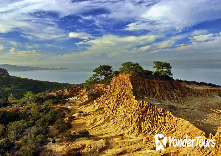 Torrey Pines State Reserve Torrey Pines State Reserve