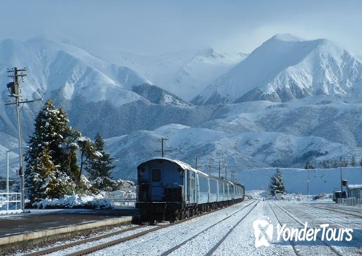 TranzAlpine Train TranzAlpine Train