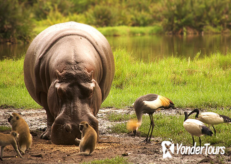 Tsavo National Park