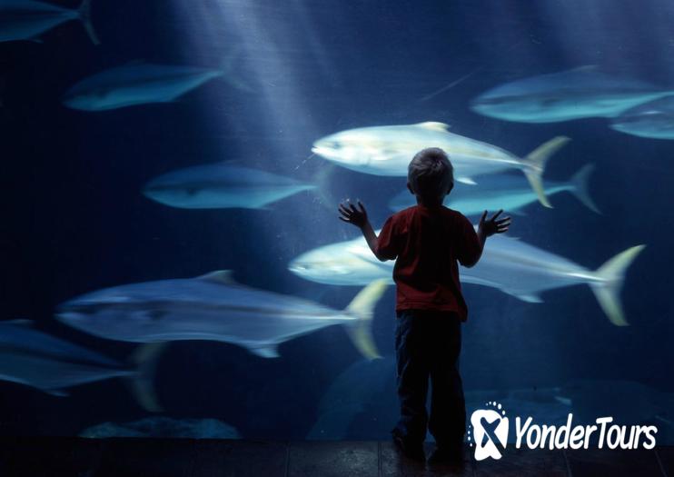 Two Oceans Aquarium Two Oceans Aquarium