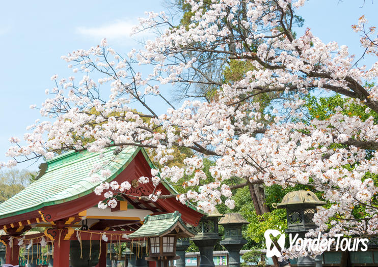 Ueno Park (Ueno Koen)