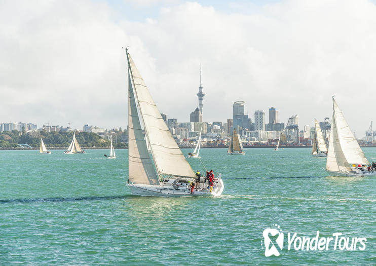 Viaduct Harbour