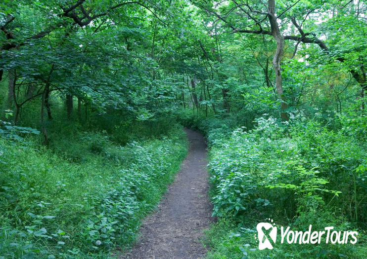 Vienna Woods (Wienerwald) Vienna Woods (Wienerwald)