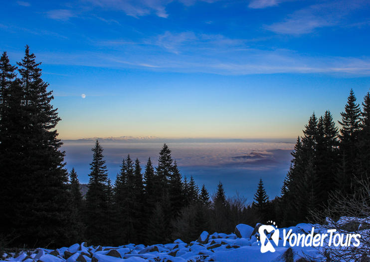 Vitosha Mountain 