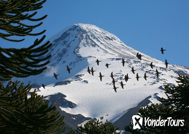 Volcano Lanin Volcano Lanin