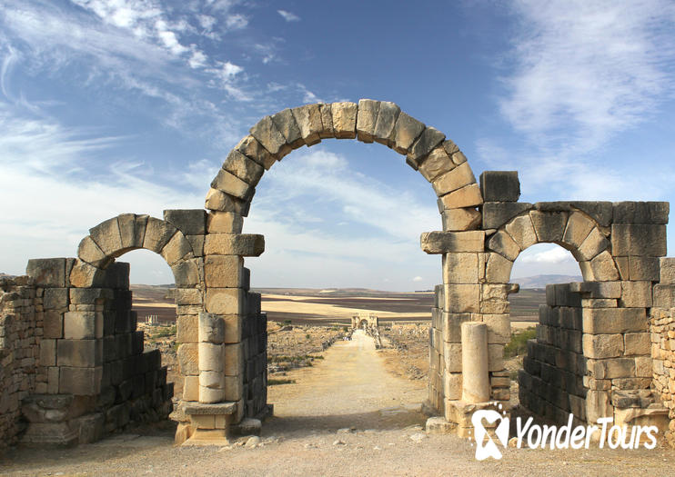 Volubilis Volubilis