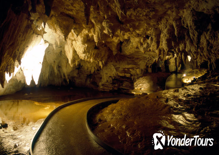 Waitomo Caves