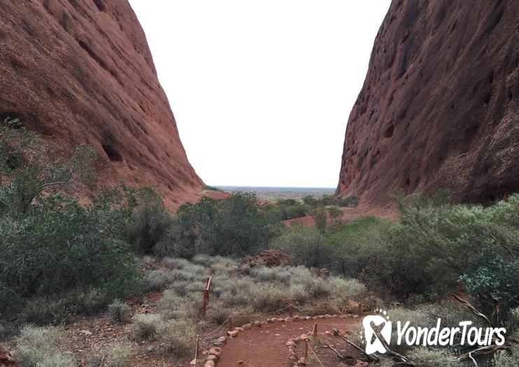 Walpa Gorge (Olga Gorge) 