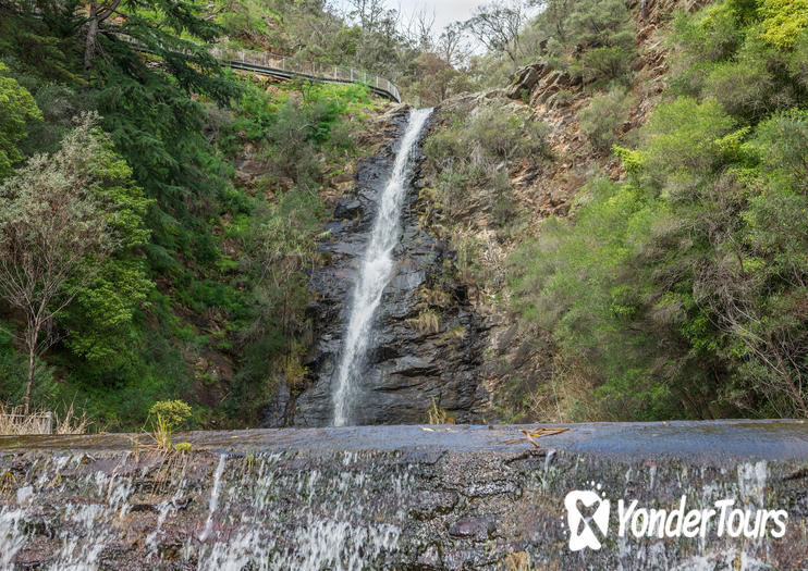 Waterfall Gully Waterfall Gully