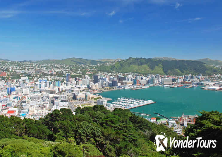 Wellington Cruise Port