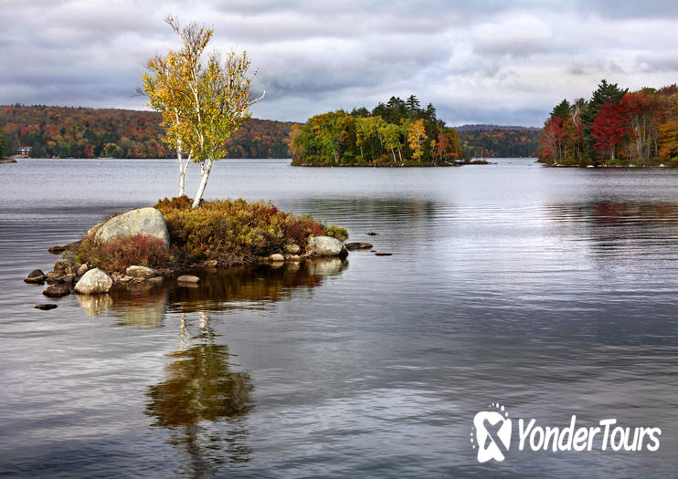 Wild Center at Tupper Lake