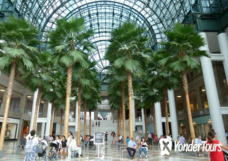Winter Garden Winter Garden