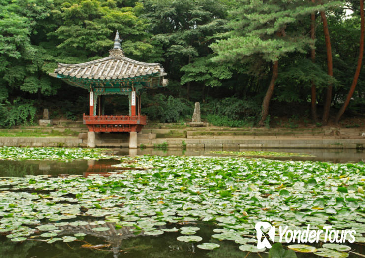 Yeouido Park Yeouido Park