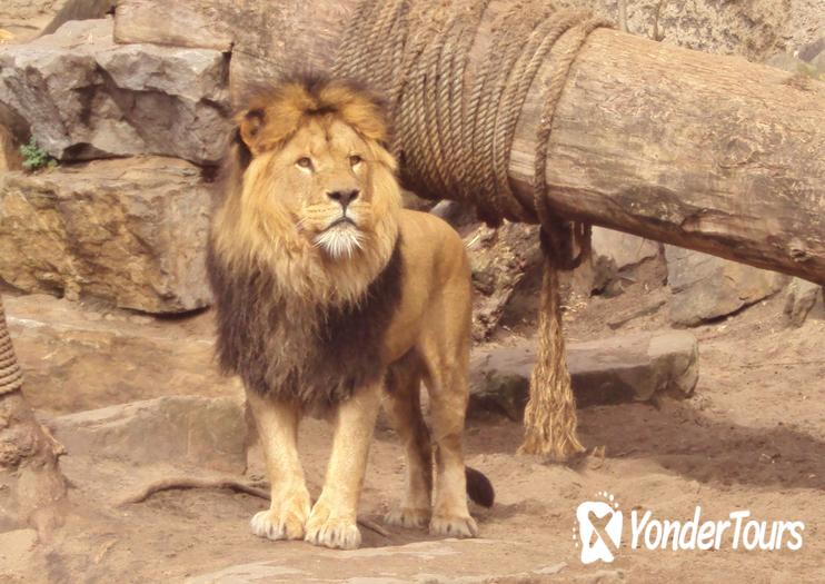 Artis Royal Zoo Artis Royal Zoo