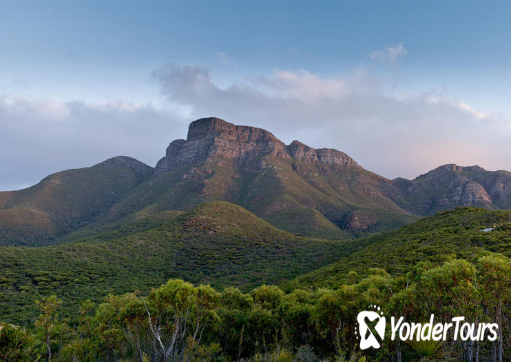 Bluff Knoll