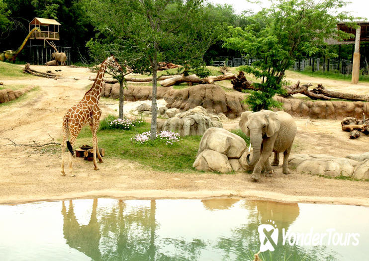 Dallas Zoo Dallas Zoo