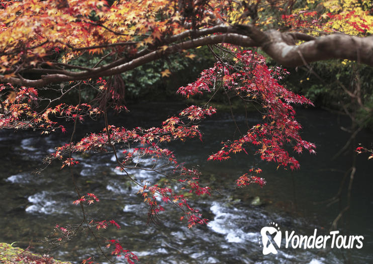 Kiyotaki River Kiyotaki River