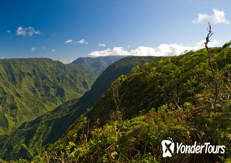 Koke'e State Park Koke'e State Park