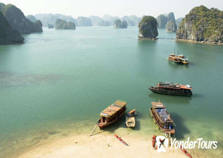 Monkey Island Monkey Island