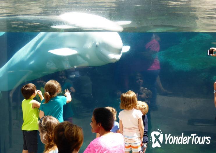 Mystic Aquarium Mystic Aquarium