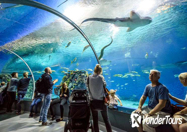 National Aquarium Denmark National Aquarium Denmark