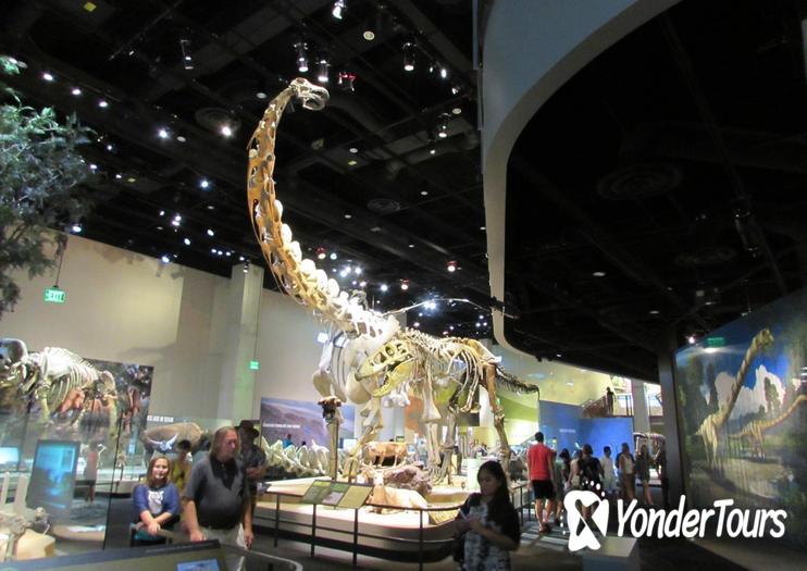 Perot Museum of Nature and Science