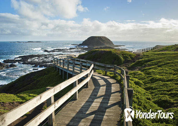 Phillip Island Nature Parks Phillip Island Nature Parks