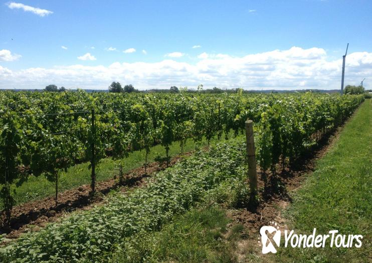 Pondview Estate Winery Pondview Estate Winery