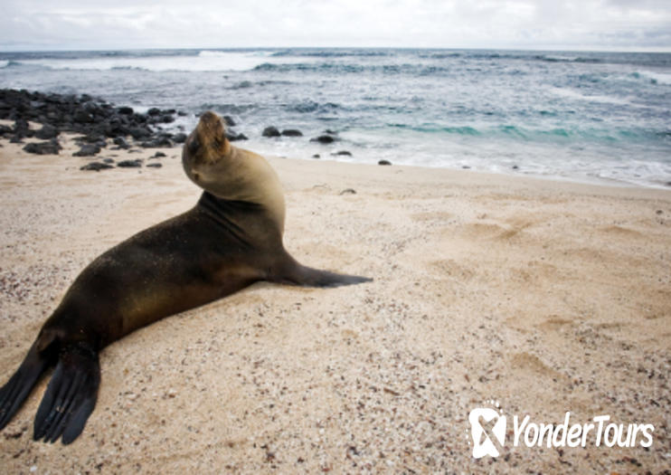 Santa Cruz Island