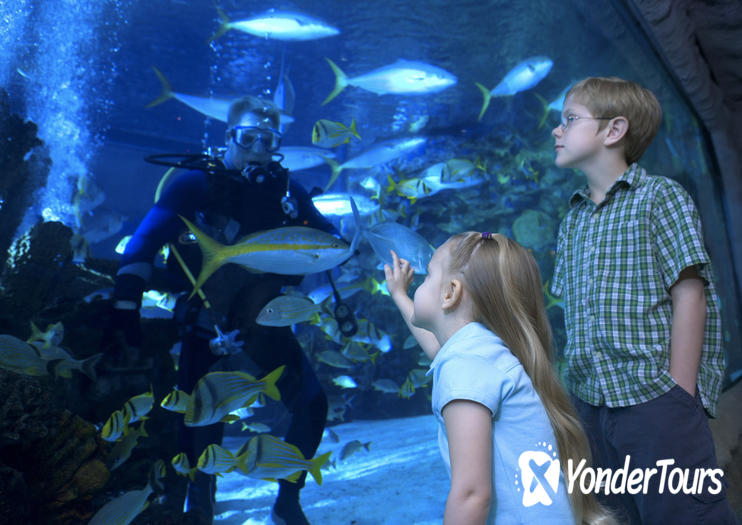SEA LIFE Aquarium Dallas SEA LIFE Aquarium Dallas