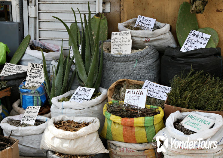 Witch Market (Mercado de Brujos)