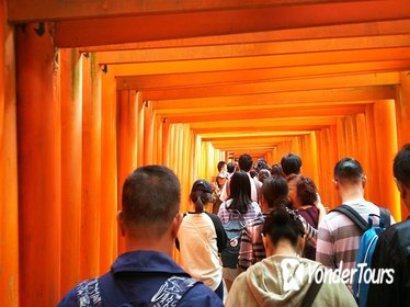 (Early Bird) Fushimi Inari & Nara Highlights Tour