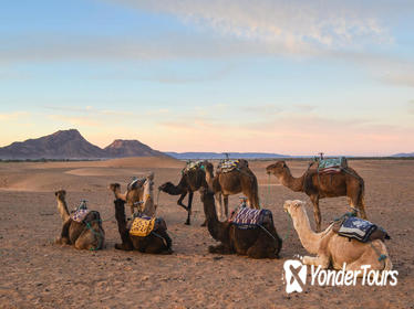 02 DAYS MARRAKECH - OUARZAZATE - ZAGORA 02 DAYS MARRAKECH - OUARZAZATE - ZAGORA