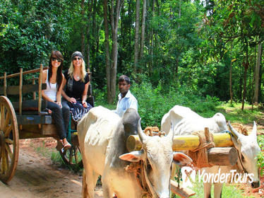 02 Days Private Dambulla & Habarana Tour With Village Experience From Colombo