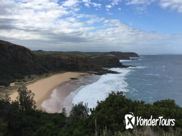 1 Day Phillip Island Bass Coast Walk Sightseeing and Penguins Tour