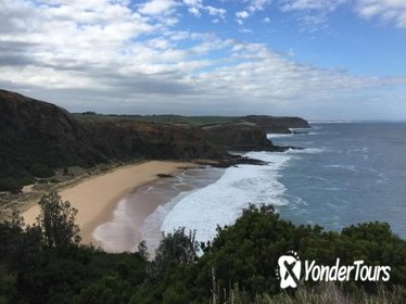 1 Day Phillip Island Bass Coast Walk Sightseeing and Penguins Tour 1 Day Phillip Island Bass Coast Walk Sightseeing and Penguins Tour