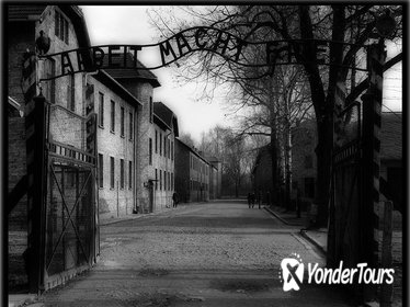 1 Day Trip - Auschwitz Museum and Salt Mine all inclusive with local guides