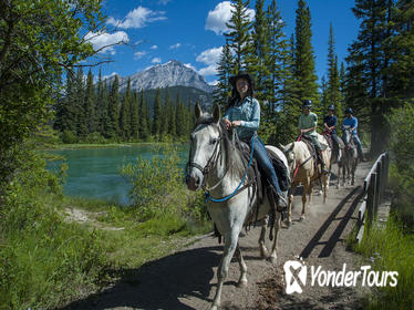 1 Hour Banff Horseback Riding Adventures