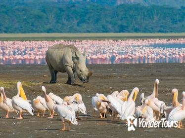 1 Night 2 Days Lake Naivasha,Hells Gate, Lake Nakuru Tour From Nairobi