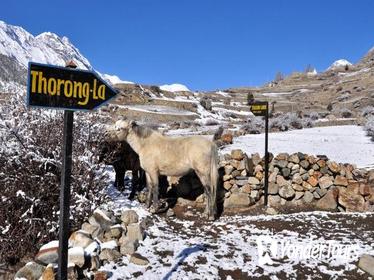 10-Day Annapurna Circuit Trek in Nepal