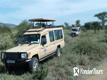 11 days kenya and tanzania safaris from Nairobi or mombasa