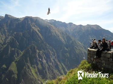 11-Day Semi-Private Tour: Cusco, Machu Picchu, Lake Titcaca and Colca Canyon