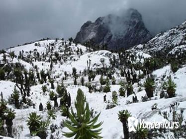 12 Day Rwenzori Trek with Safari 12 Day Rwenzori Trek with Safari