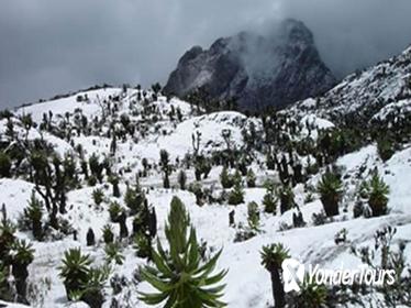 12 Day Rwenzori Trek with Safari