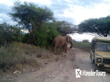 12-Day Kenya and Tanzania Safari from Nairobi