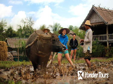 13-Day Thailand and Laos Adventure Tour from Bangkok