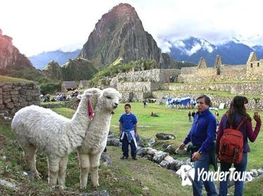 15-Day Peru Tour from Lima Including Paracas, Arequipa and Puno