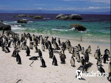 15-Day Picturesque South Africa Journey from Cape Town